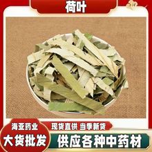 荷叶 荷花茶 荷叶片 荷叶块中药材 荷叶丝 整张荷叶 代打粉 500克