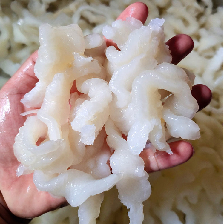 广西北海花胶鱼胶巴沙鱼肚酒店餐饮芒鱼胶淡水胶海鲜干货一斤