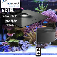 Maxspect迈光 E5-130W灯具 海水鱼缸led珊瑚灯 ICV6控制 Ethereal