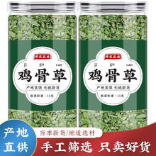 广西鸡骨草茶叶中药材正品新鲜干货鸡骨草叶片子非茶包泡茶泡水喝