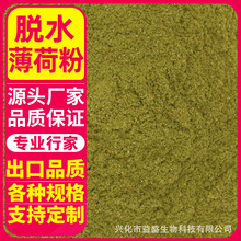 厂家供应 薄荷粉 薄荷叶粉 烘焙原料 食品调味香辛料 量大优惠