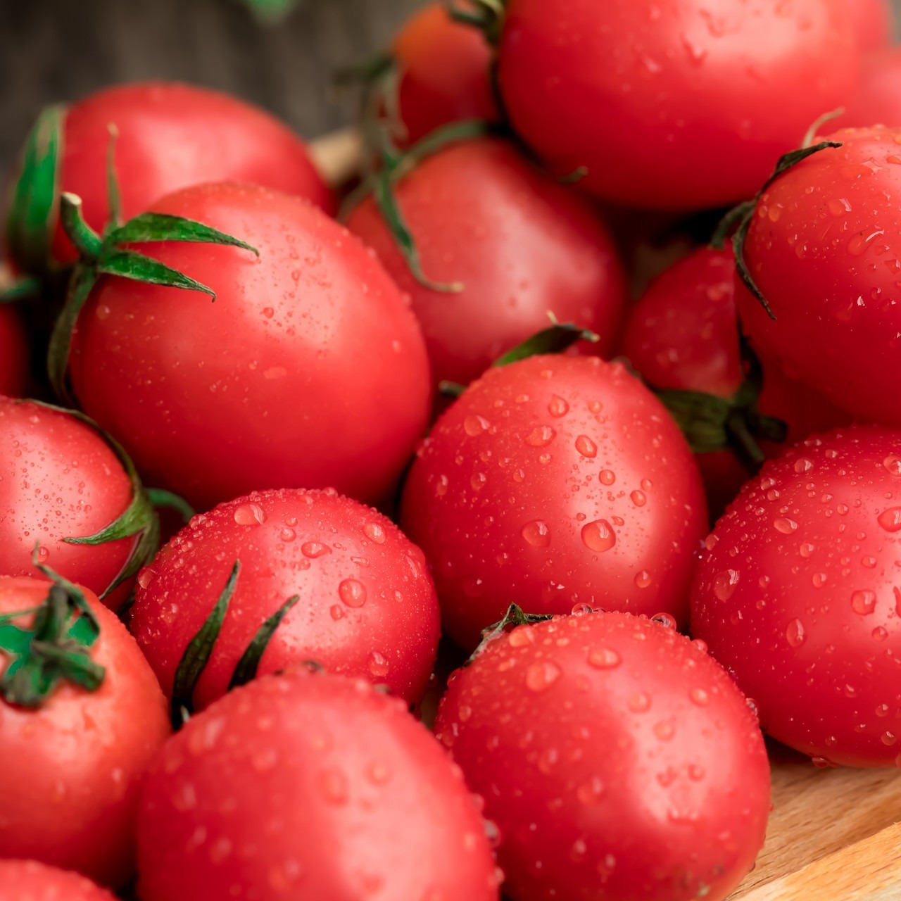 新疆西红柿-新疆西红柿厂家,品牌,图片,热帖-阿里巴巴