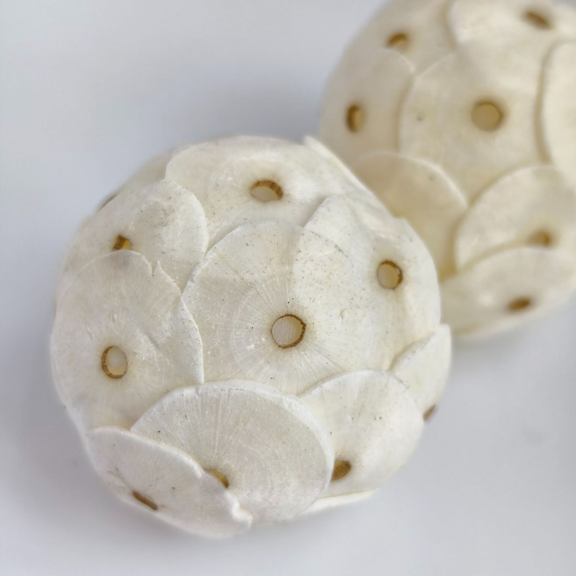 定制|跨境热销天然通草球小宠天然可食用啃咬球天然干果工艺品