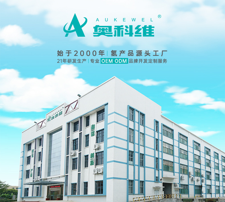 安博斯 便携式家用吸氢家庭版氢气机120流量车载制氢机源头厂家