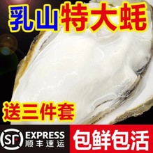 顺丰包邮特大新鲜牡蛎正宗乳山生蚝鲜活肥美海蛎子海鲜一整箱批发