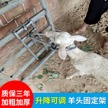 羊头固定架剪羊毛架子羊用笼头抓羊钩子剃羊毛固定器打针羊头支架