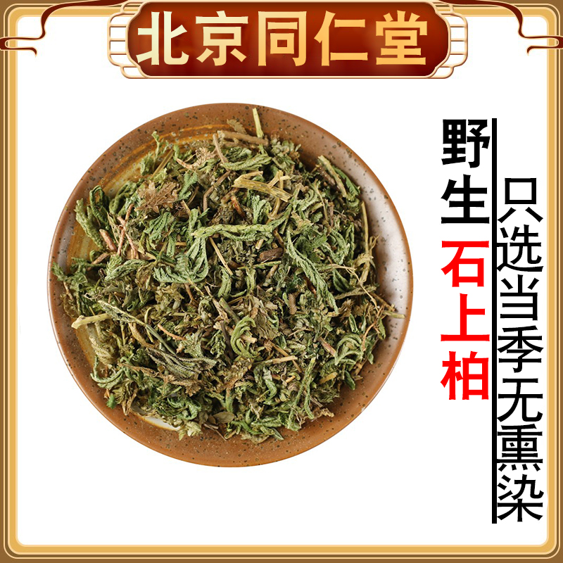 材 石上柏 地柏草 地侧柏 金龙草 野生500克 包邮-阿里巴巴