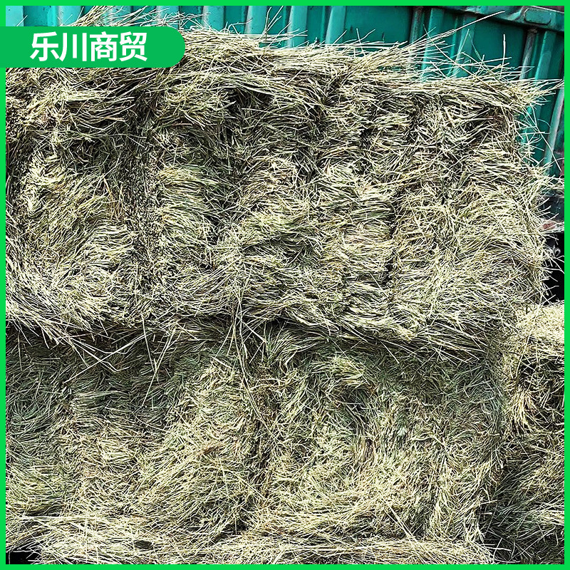 0成交0吨碱草马场草牛羊干草牧草天然碱草羊草青色草料相似店铺>进入