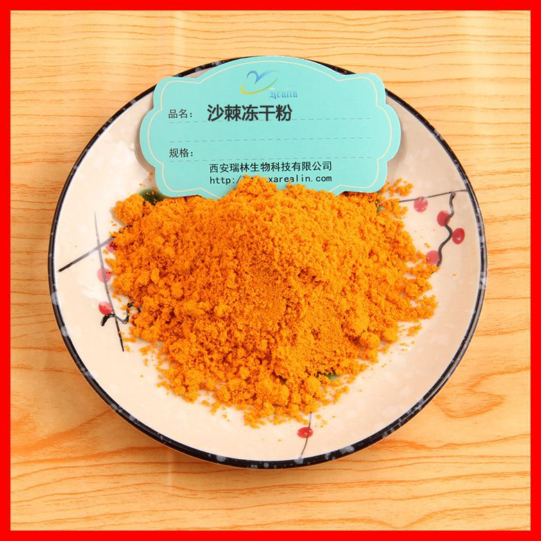 沙棘冻干粉 沙棘粉 沙棘果粉  新疆沙棘冻干粉  现货品质销售