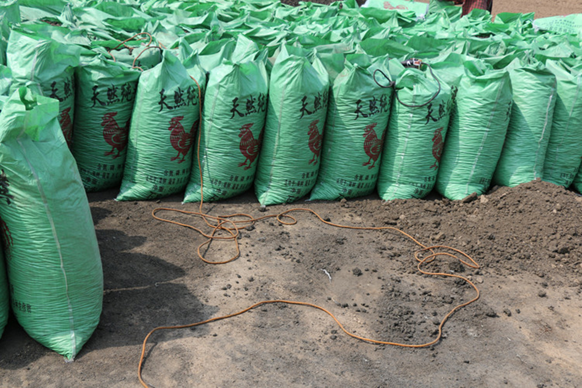 鸡粪装袋大图_副本