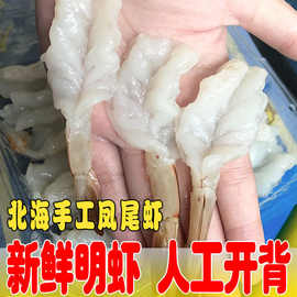 北海凤尾虾新鲜活冻开背去头去虾线虾仁野生深海大虾生鲜厂家批发