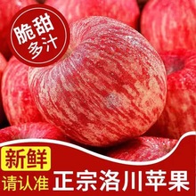 洛川苹果陕西洛川红富士苹果新鲜脆甜礼盒水果一箱5斤/10