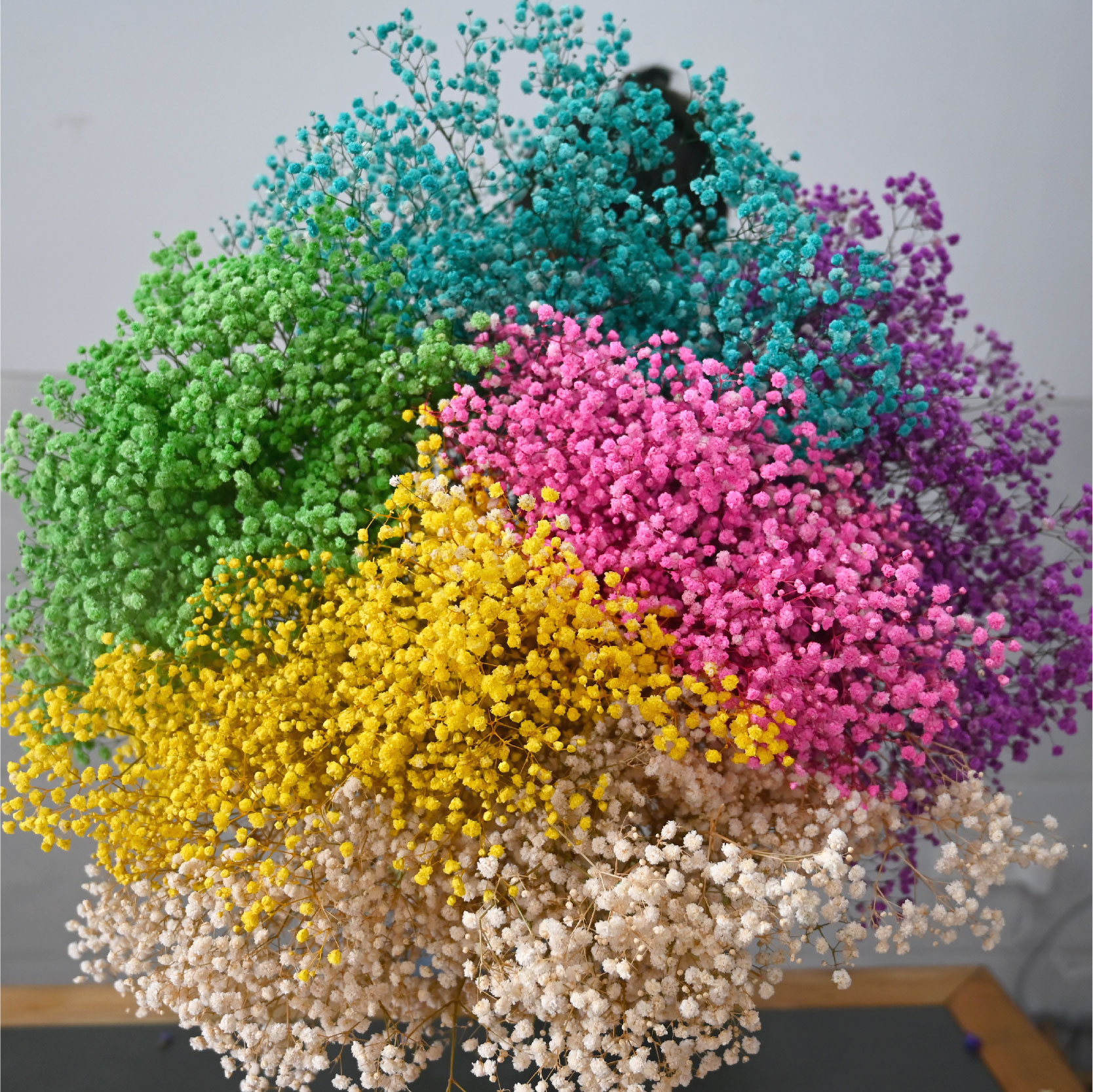 【云南工厂批发】 满天星 永生花满天星 干花满天星 母亲节花束