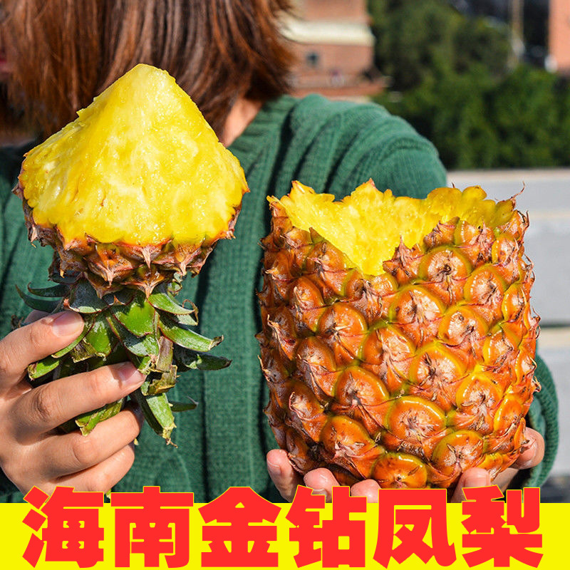 【海南金钻凤梨】10斤手撕新鲜新鲜无眼台湾香水菠萝当季一件代发