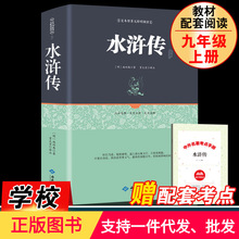 水浒传 施耐庵著 原著正版足本无障碍阅读初中生九年级青少年版