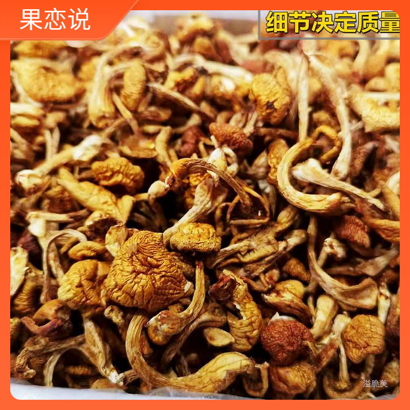 23年新货东北小黄蘑滑子蘑菌菇滑子菇蘑菇野生蘑菇干包邮500g