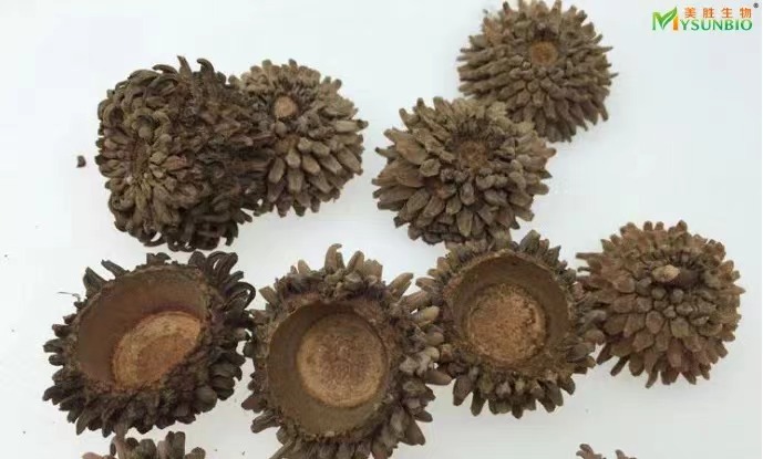 收购 橡实壳原材料-阿里巴巴