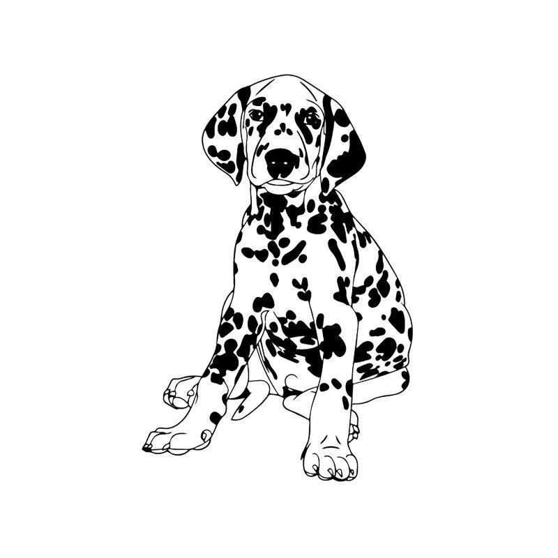 斑点狗车贴 外贸亚马逊车尾贴车窗玻璃动物贴纸 al2076-阿里巴巴