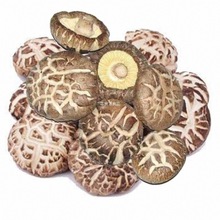 香菇（茶花）Mushroom（Camellia）1000g