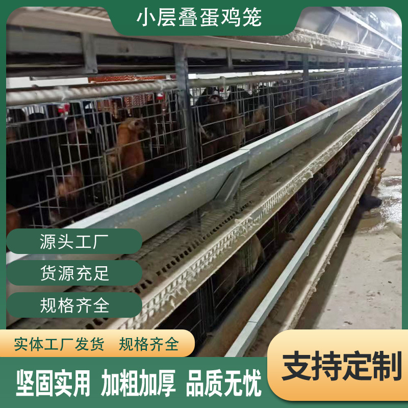 自动化鸡笼子养殖场专用小框架式鸡笼自动捡蛋机自动喂食