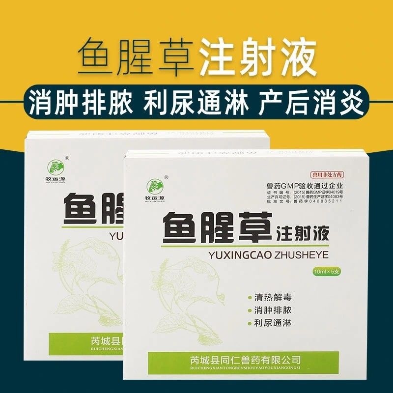 鱼腥草注射液清热解毒消肿排脓利尿通淋兽用兽药宠物专用针剂正品