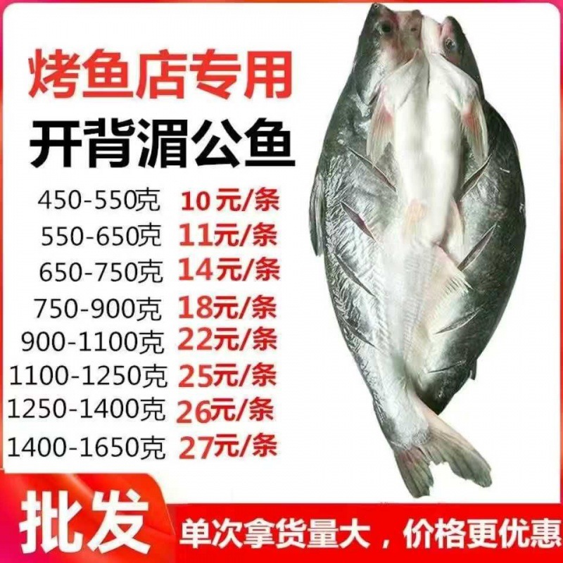 腌制巴沙鱼海鲈鱼清江鱼商用开背湄公鱼凌波鱼半成品整箱成货批