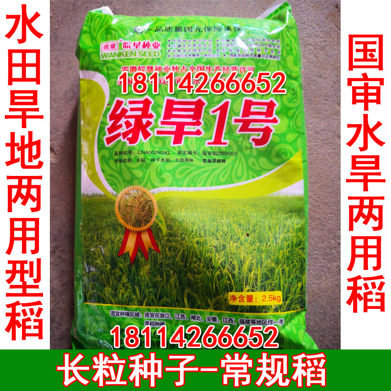 旱稻种子郑旱10号9号水稻种子稻谷种子香米籼米糯稻常规粳稻种子