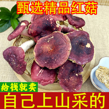 野生红菇干货特产野生红蘑菇菌菇包红菇红椎菌非福建云南广西正红