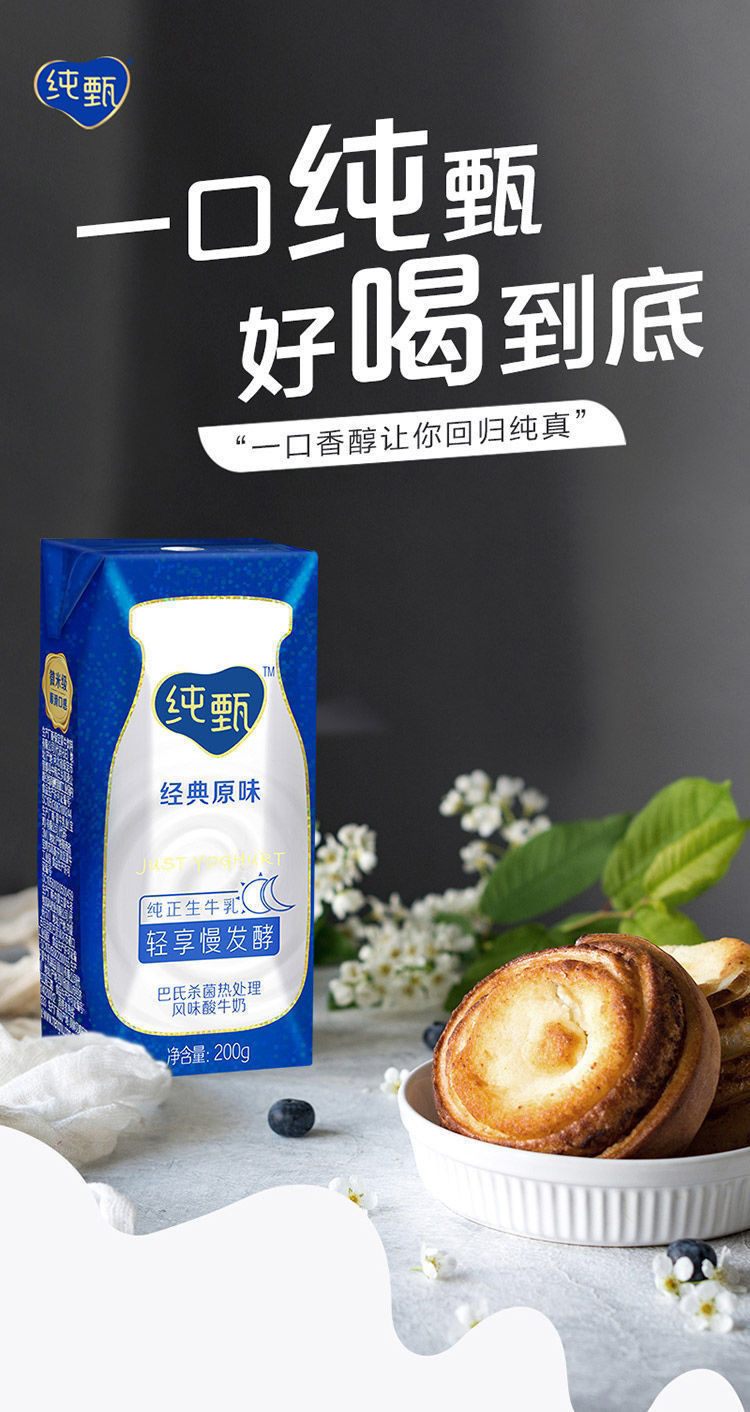 蒙牛纯甄原味酸牛奶200g*10盒纯奶发酵减脂代餐新老包装随机发