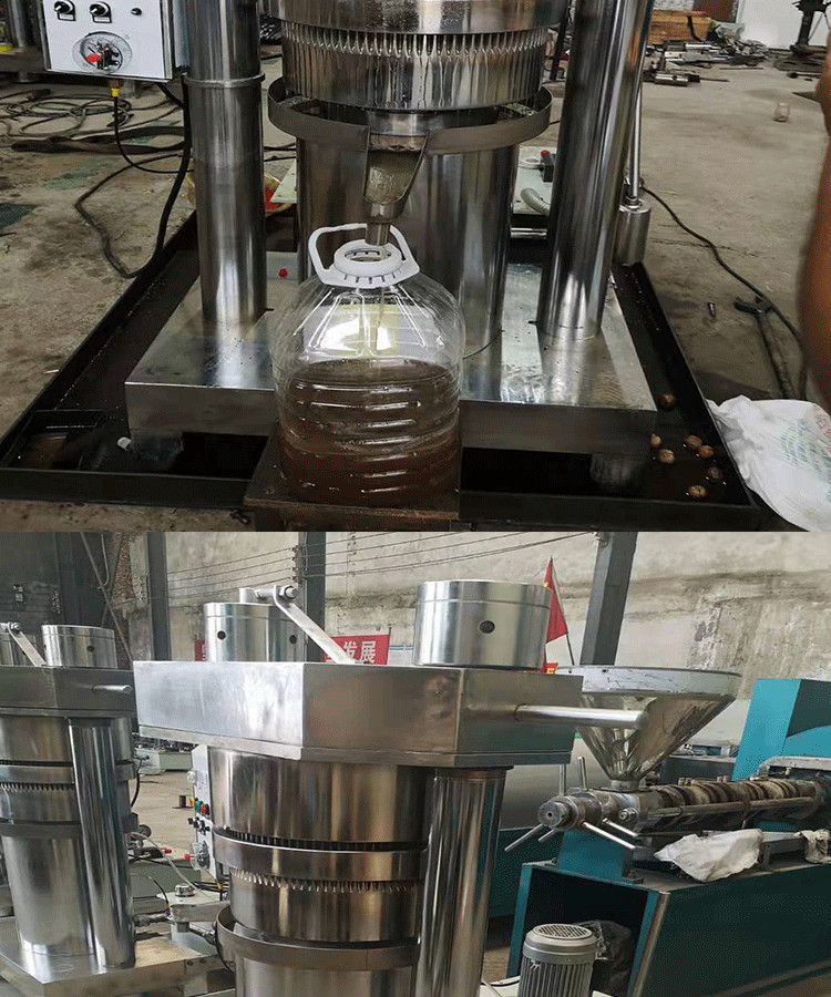 大型液压香油榨油机 家用小型带壳铁核桃榨油机 核桃仁榨油机