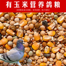 包邮5斤装鸽子粮有玉米幼鸽饲料 鸟食信鸽观赏鸽肉鸽粮赛到打贸易