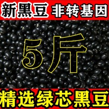 22年新货黑豆打豆浆专用黄心黑小豆打豆浆醋泡生豆芽农家自产批发