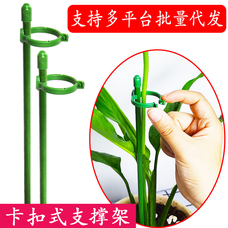 新品蝴蝶兰支架兰花植物固定杆支撑杆扶直玻纤支架爬藤植物固定杆