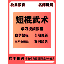 技巧入门防身在线精通武术自学学习视频教程培训到课程短棍从全套