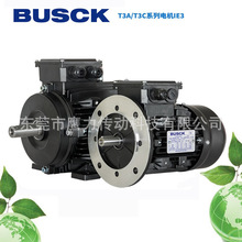 瑞典BUSCK电机Busck motors 布斯克三相异步电机T4A/T4C/T3A/3C