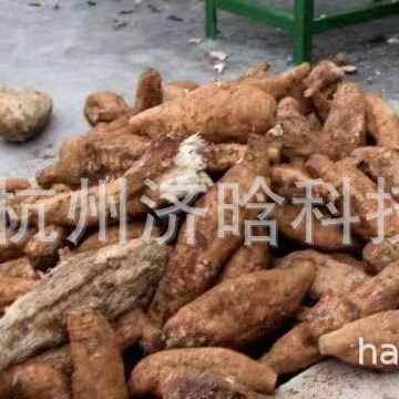 葛粉加工生产线设备