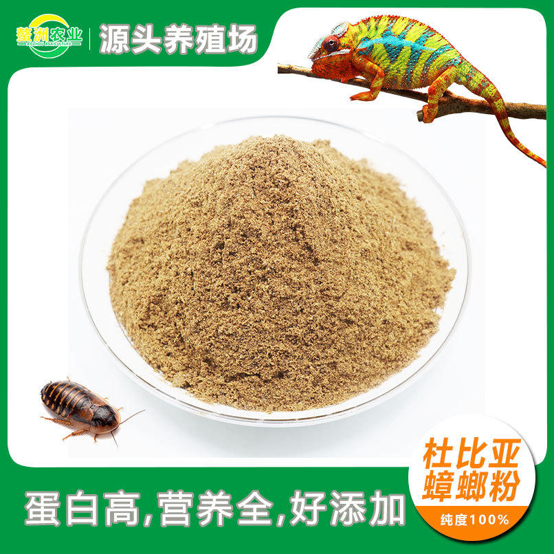 杜比亚蟑螂粉鬃狮守宫石龙子变色龙蜥蜴爬宠食昆虫粉饲料厂家批发
