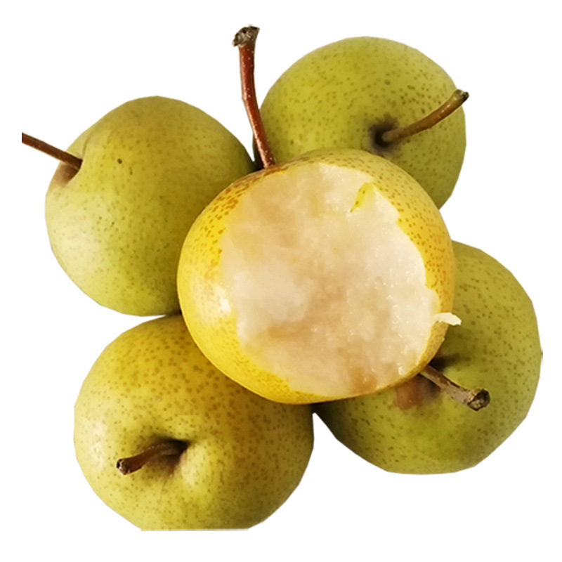 酸梨 细皮小酸梨 安梨 老酸梨 2022年天津蓟州山区特产