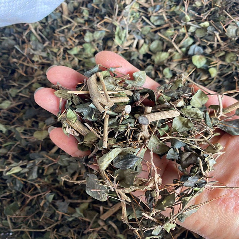 中药材绣花针 1kg虎刺 老鼠刺 伏牛花