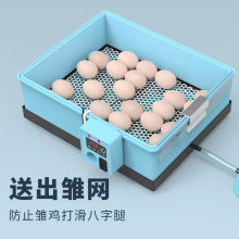 芦丁鸡孵化箱孵化器家用小型孵蛋器孵蛋机迷你水床孵化机小鸡