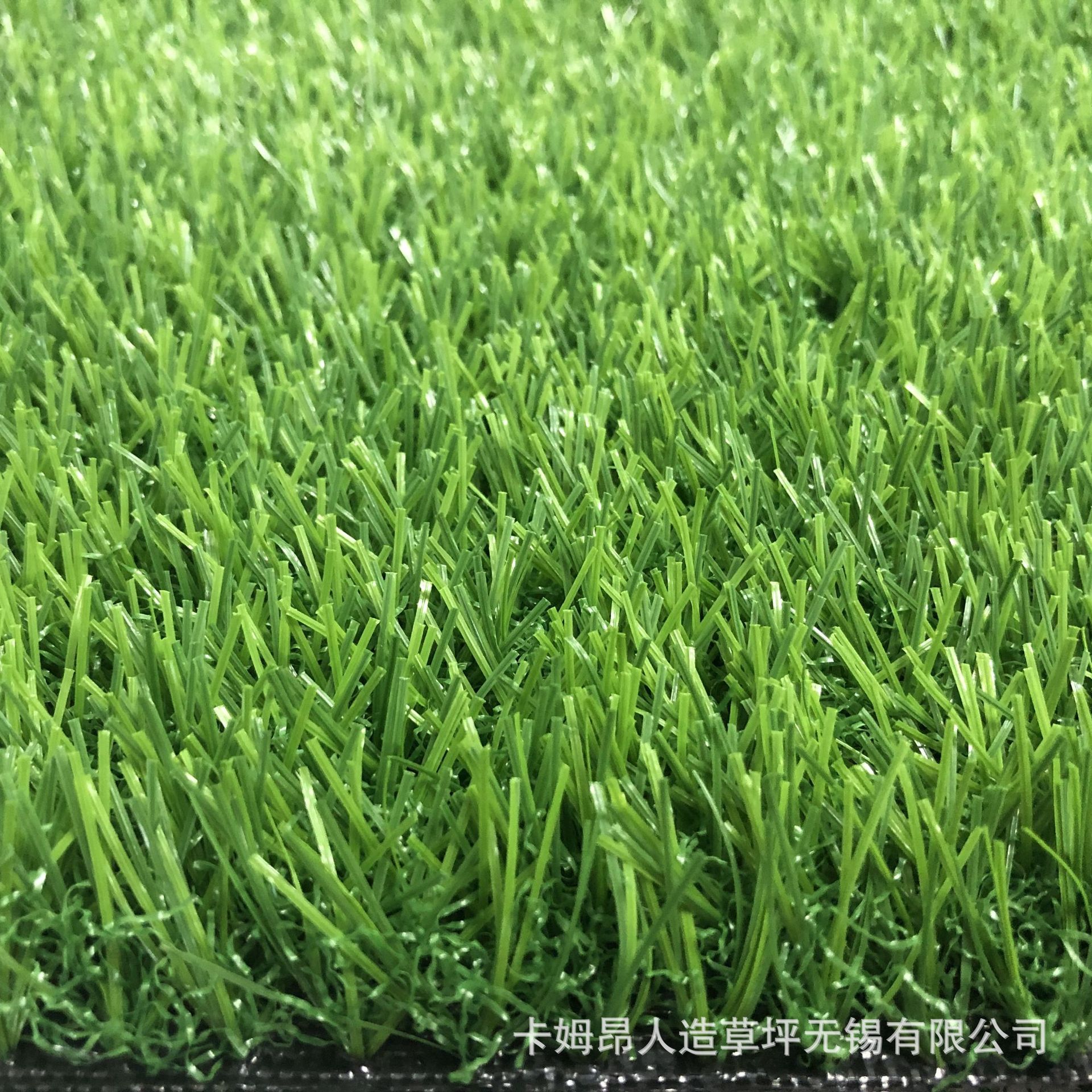 卡姆昂人造草坪仿真草坪幼儿园绿化pe材质人工草皮假草免冲砂