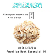 欧白芷根精油 洋当归 单方精油 护肤 化妆品原料 10ml