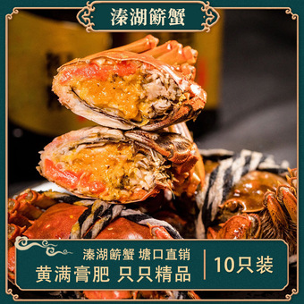 溱湖簖蟹兴化大闸蟹溱湖八鲜鲜活现货泰州溱潼特产大螃蟹礼盒装