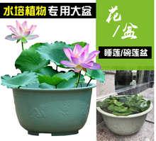 特大号圆形加厚水培无孔荷花盆睡莲碗莲花塑料花盆龙缸盆无托