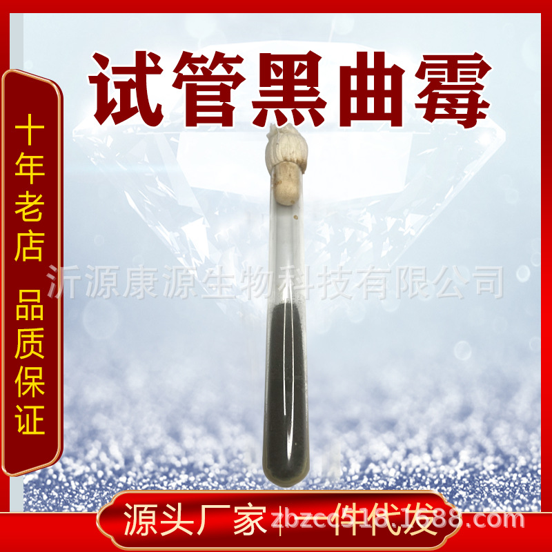 3.042黑曲霉试管斜面培养扩繁 顺丰包邮 厂家直供培 养现货-阿里巴巴