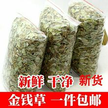 金钱草广西金钱草广金钱草冲剂泡水金钱草茶金钱草干品野生金钱草