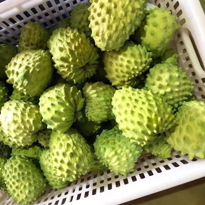 释迦果牛奶新鲜大5斤当季热带水果番荔枝佛头水果1斤非台湾现货