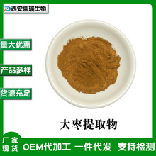 厂家批发大枣提取物粉 食品级原料 固体饮料水溶大枣粉 散装1kg起