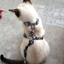 牵猫绳日本