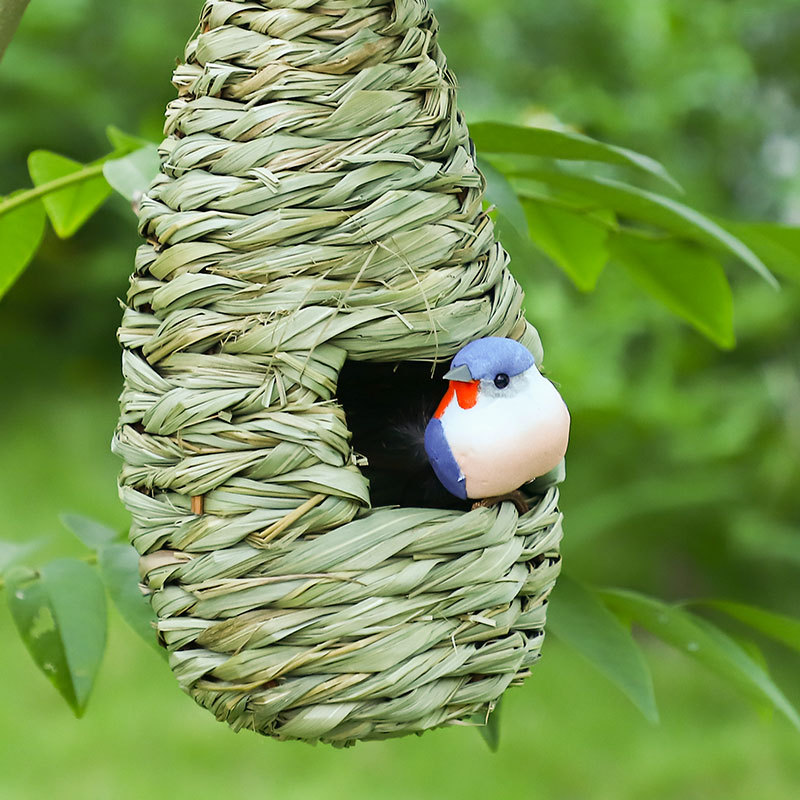 定制鹦鹉尿兜/鹦鹉尿裤/尿布兜-询价-阿里巴巴